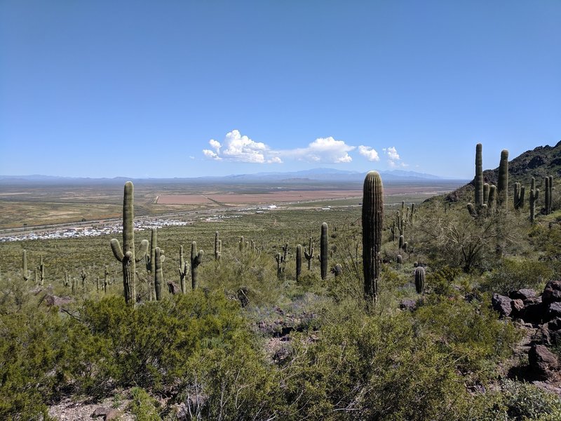 From the overlook at the end of the Calloway Trail, you can see some clouds beginning to build over the Santa Catalina Mountains.