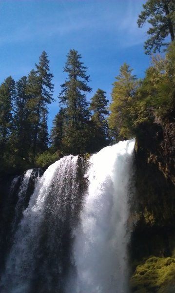 Koosah Falls