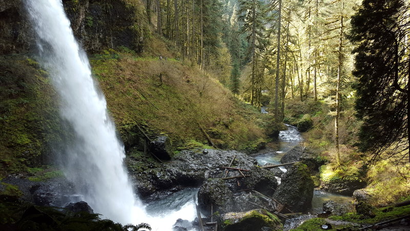 Silver Falls Hike