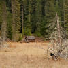 Clackamas Lake Ranger Station.