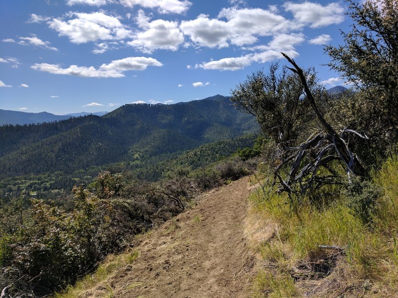 Descending to the Highway 238 side, spring of 2017 when the trail was still being made.