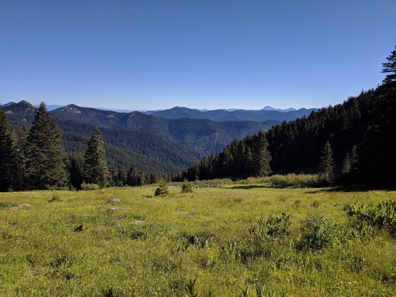 Looking SE towards Preston Peak in the Siskiyou Wilderness.