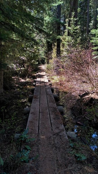 A low boardwalk helps keep things from getting boggy on the Fish Lake trail.