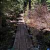 A low boardwalk helps keep things from getting boggy on the Fish Lake trail.