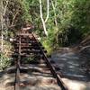 Scene of the fatal train wreck on Rail Trail