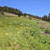 Starting across the meadows on the east side of Lake Peak.