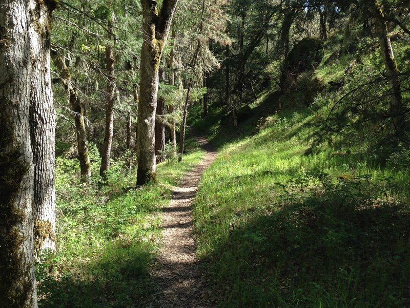 Halfway up the Bear Gulch trail