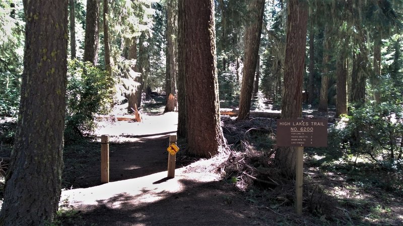 Beginning of High Lakes Trail at Fish Lake, OR.