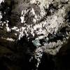 Speleothems in Oregon Caves