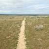 Typical hardpack dirt trail bed.