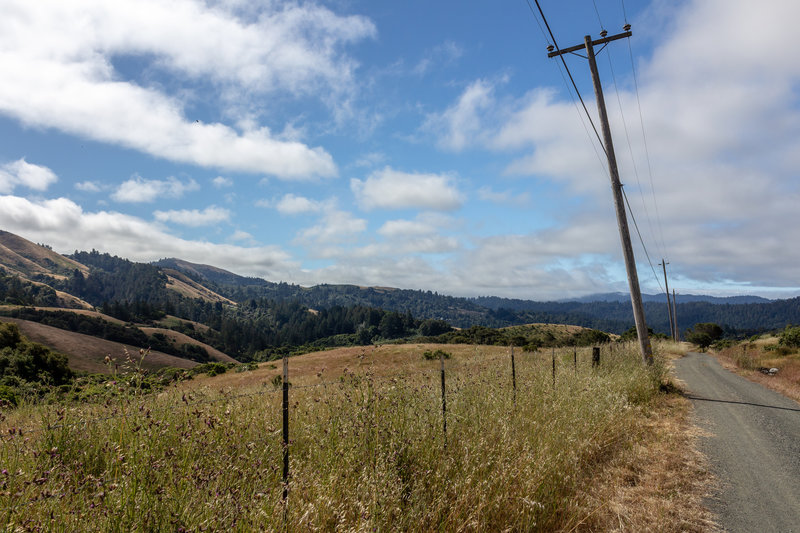 Harrington Creek Trail