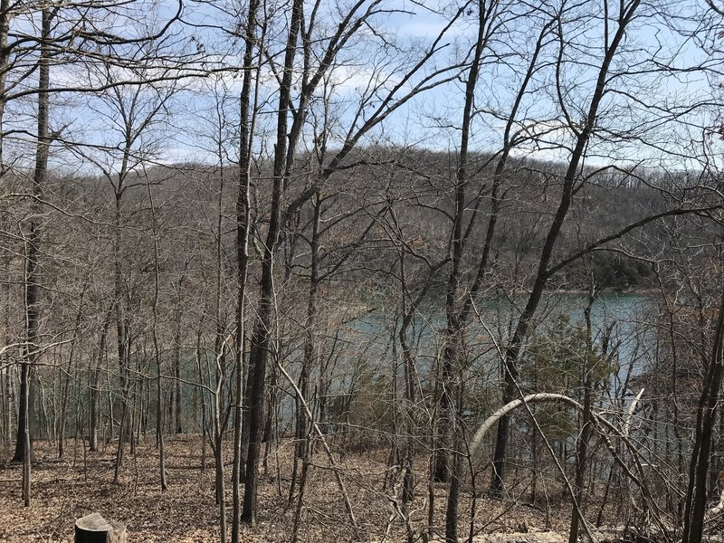 View of Beaver Lake through the woods at the end of the Eagle Bluff Trail. Taken mid-March.