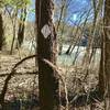 Benton MacKaye Trail at Big Bend Recreation Area and Hiwassee River.