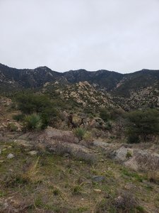 The views are stunning