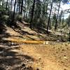 Creek crossing on Trail 392