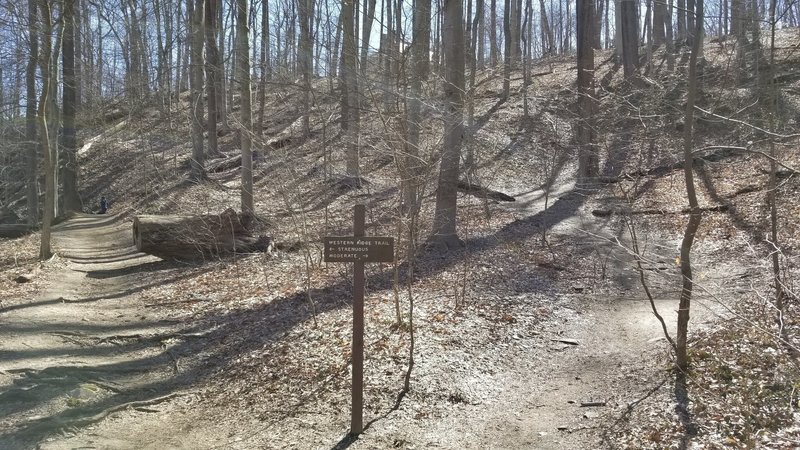 Westen Ridge Northern Entrance (at Pierce Mill) for either Strenuous (lower) or Moderate (upper). Best to take Moderate south and come back Strenuous. Easier to climb Strenuous rockface than crab-walk down.