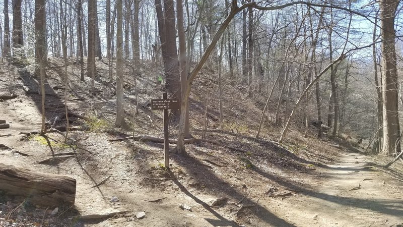 Western Ridge Trail southern fork for Moderate (upper), Strenuous (lower). Suggest taking Strenuous north since it's easier to climb the Strenuous trail rockface than crab-walk it down. Return loop via the Moderate Trail.