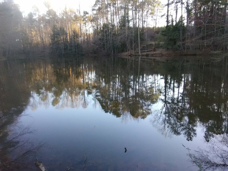 Larger pond