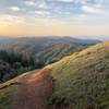 A beautiful spring sunrise on Henry Coe's Monument Trail