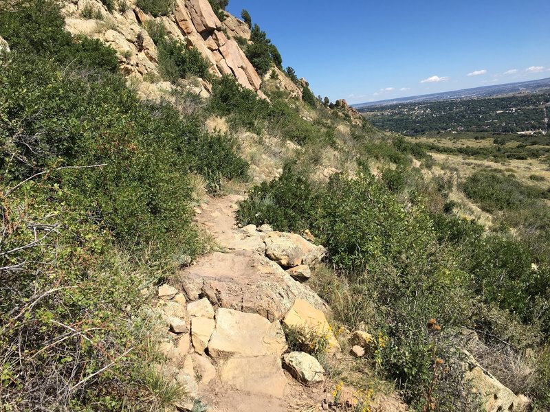 Sketchy section on Upper Codell.