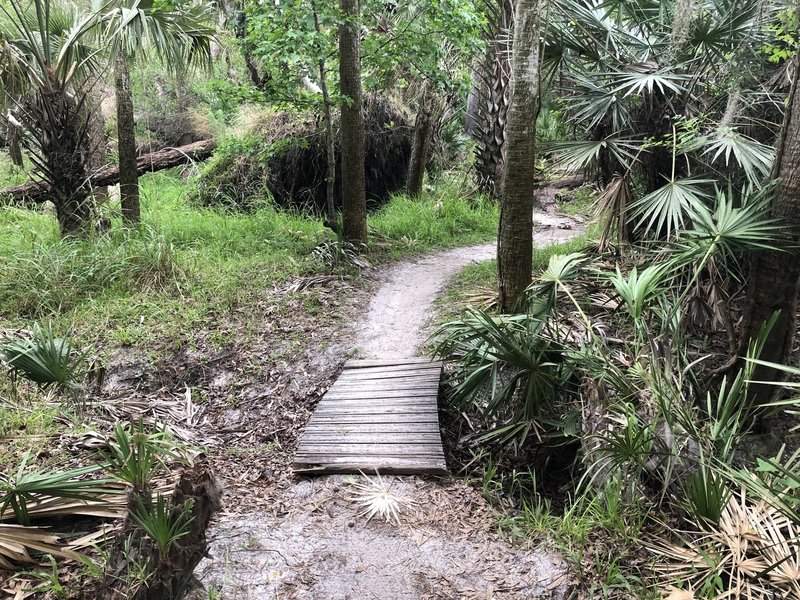 Several short bridges in place for gully and stream crossings