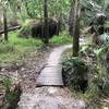 Several short bridges in place for gully and stream crossings