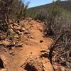 Large rocks on the trail that eventually smooth out.