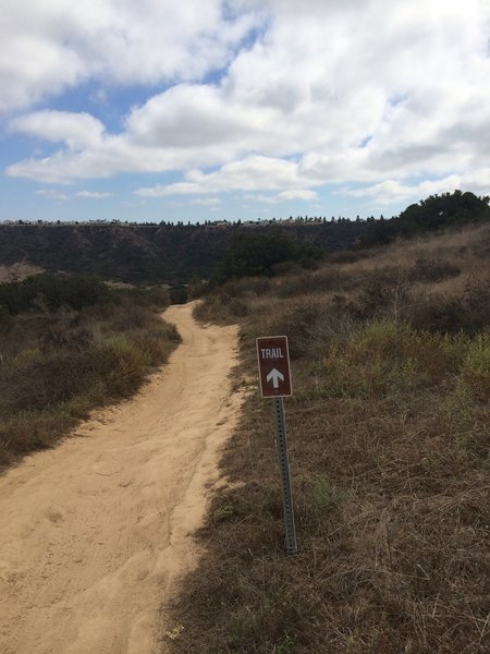 Side Hill singletrack.