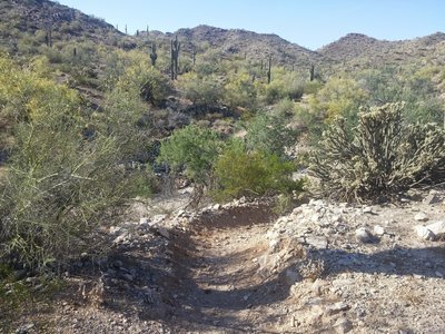 Toothaker Trail