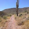 Beginning of steep section on Spur Cross Trail. The summit is not far so gut it out for the great views.