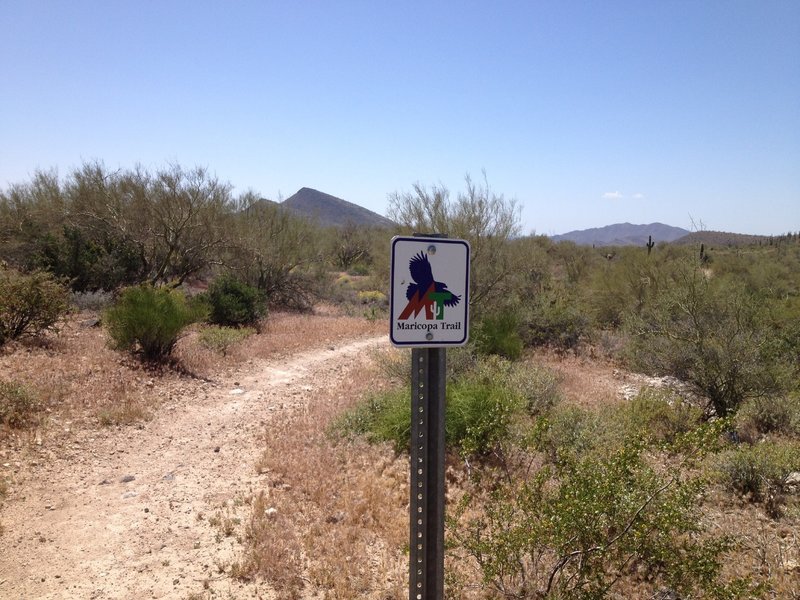 Maricopa Regional Trail marker.