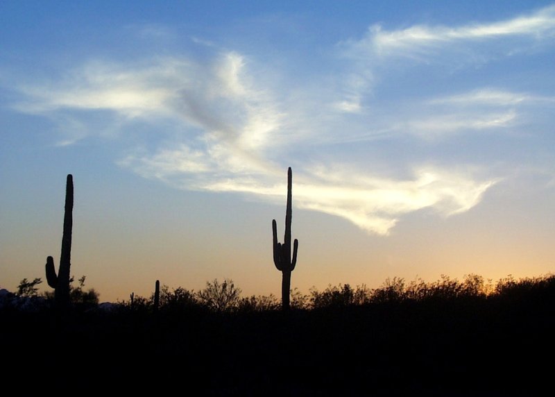 Sonoran sunset.