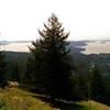 Looking out across the sound from Orcas Island.