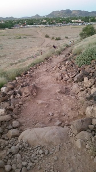 The "Rock Garden" on H1 - Coachwhip