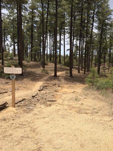 Prescott singletrack.