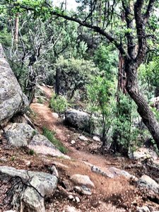 A few more rocks