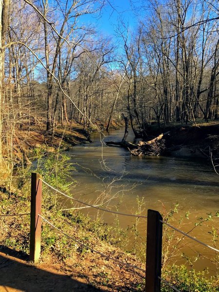 The Eno River seen from the trail