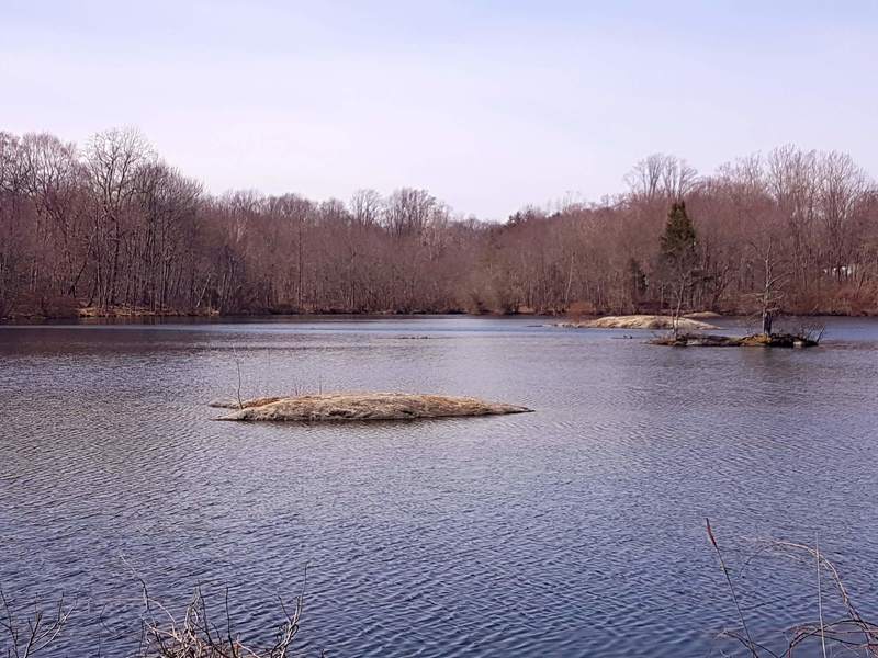 Mondo Pond Trail view of the largest pond