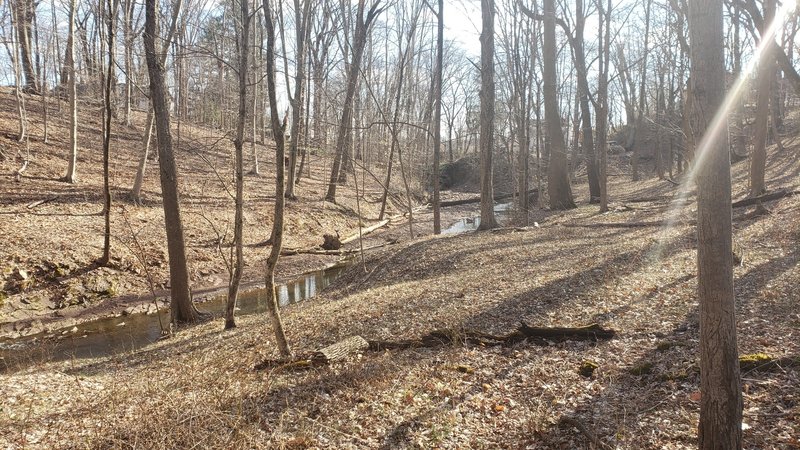 Fiddler's Creek ravine looking toward the South Bank Trail