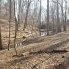 Fiddler's Creek ravine looking toward the South Bank Trail