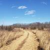 The Ravine Trail through the meadow at the Fiddler's Creek Preserve