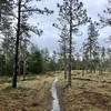 One of the "bald hills" at the top of Little Bald Hills Trail.