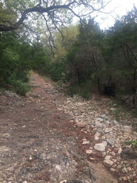 Dry creekbed along Wildcat Canyon Trail