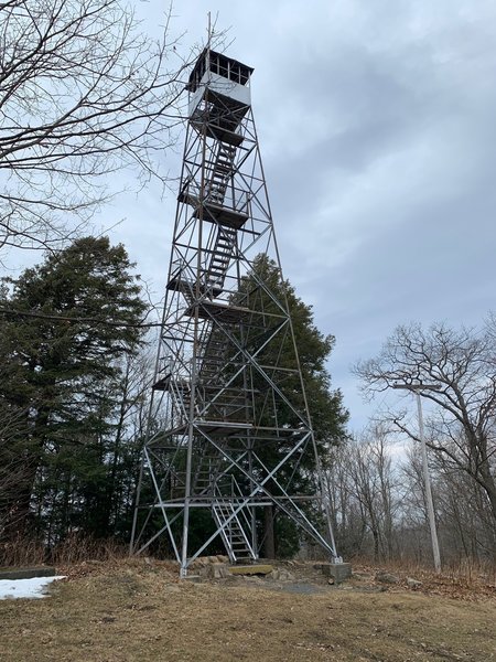 The Dickenson Fire tower