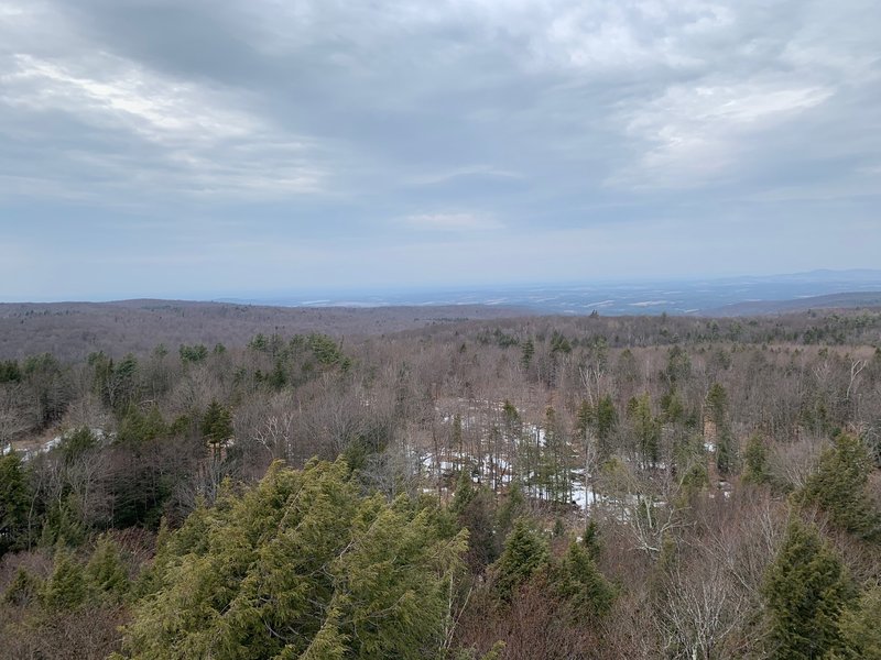 View from the Dickenson fire tower