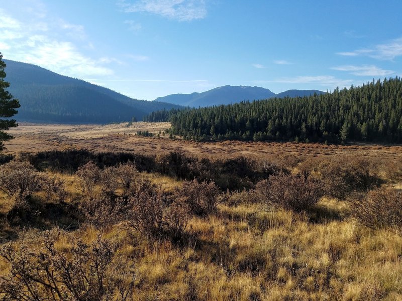 North Fork of Lost Creek upstream. Great place for campsite!