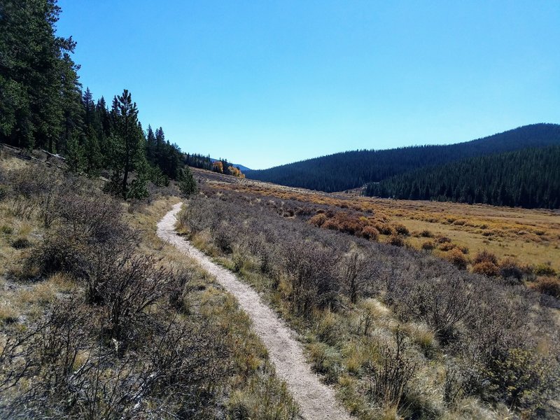 Large, grassy valley where the Brookside-McCurdy Trail joins the CT