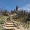 Some of the stairs of the Romero Ruins Interpretive Trail.