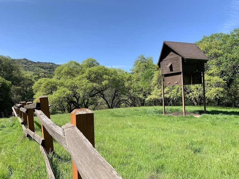 The Calero Bat Inn is a daytime retreat for local pest-eating mammals. A fence keeps you from getting close and disturbing their sleep.