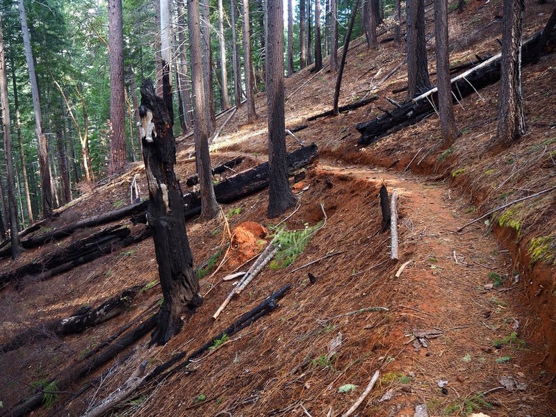 The well-developed use trail between the old road and the mine.